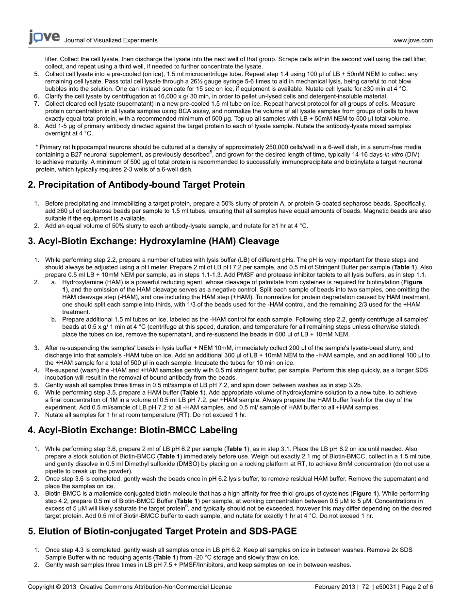 detection-protein50331.pdf_第2页