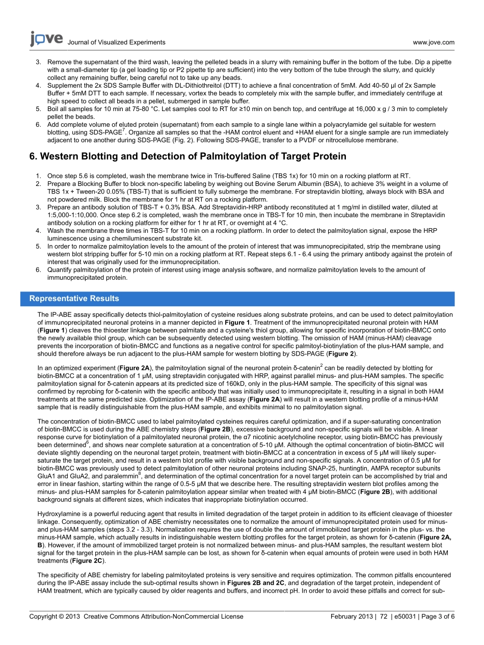detection-protein50331.pdf_第3页