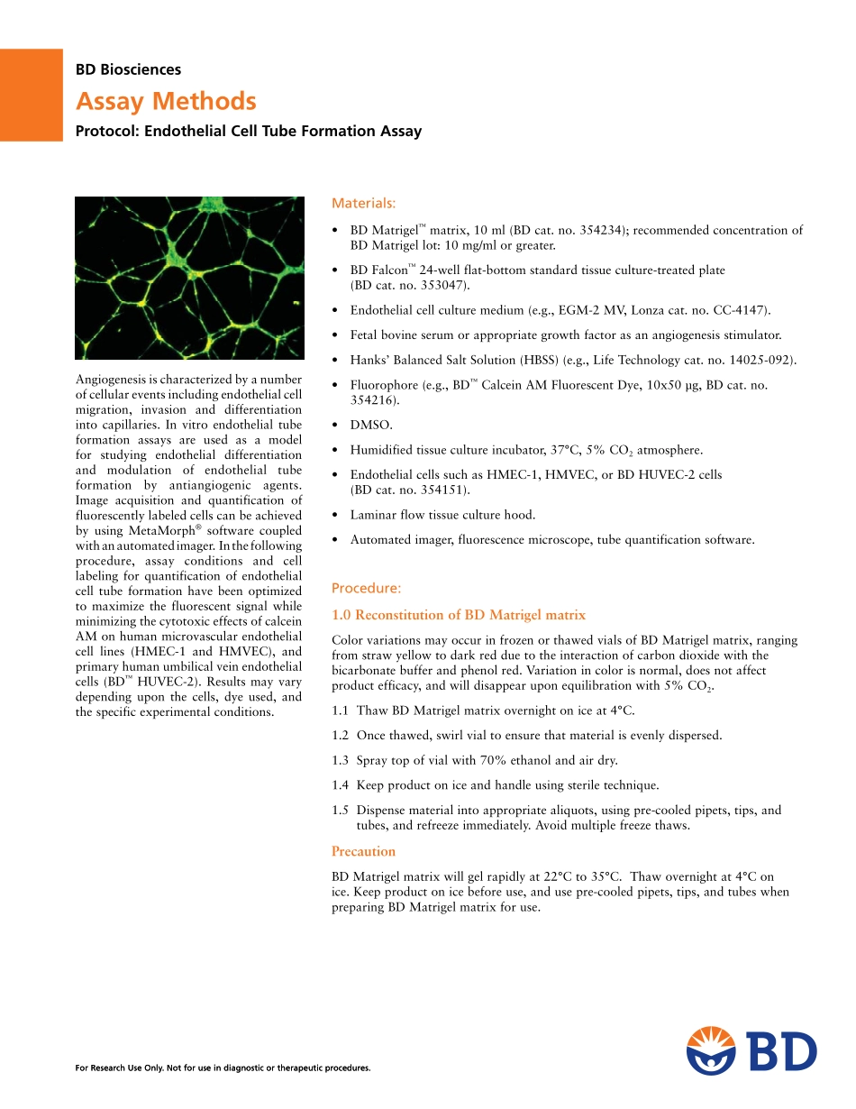 Endothelial Cell Tube Formation Assay.pdf_第1页