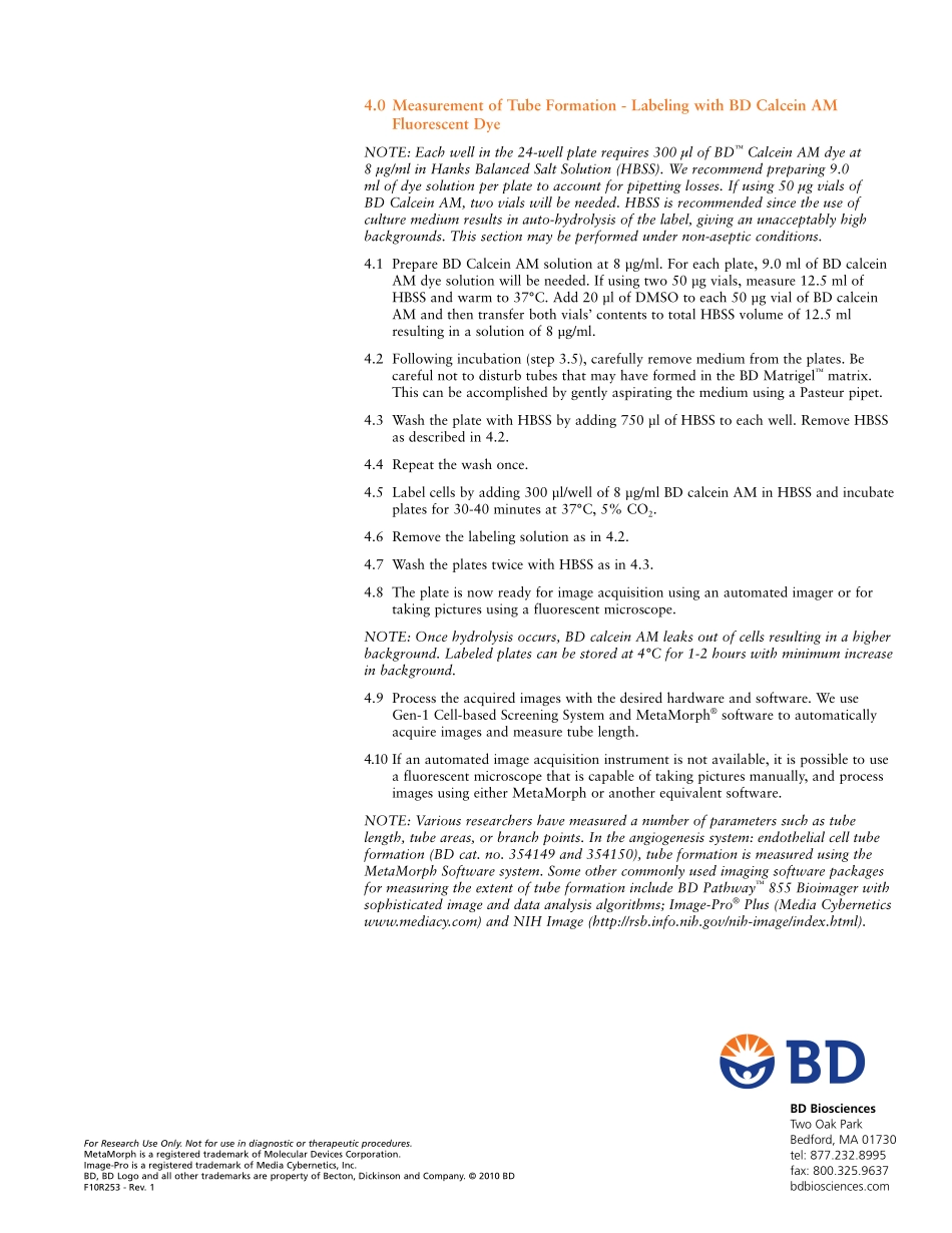 Endothelial Cell Tube Formation Assay.pdf_第3页