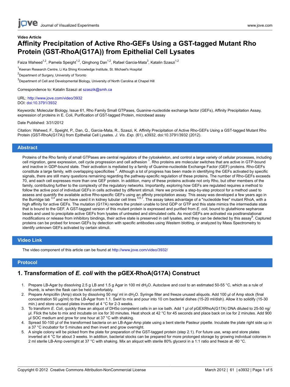 jove-protoco(2).pdf_第1页