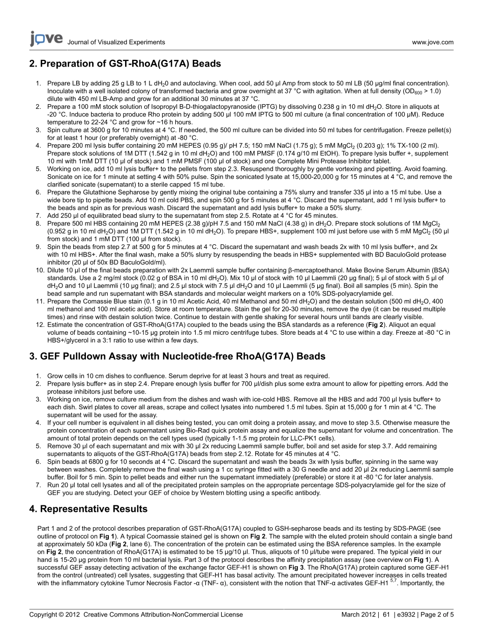 jove-protoco(2).pdf_第2页