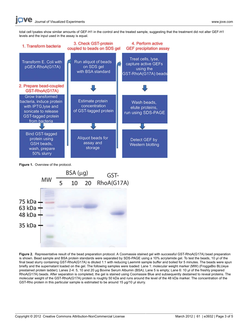 jove-protoco(2).pdf_第3页