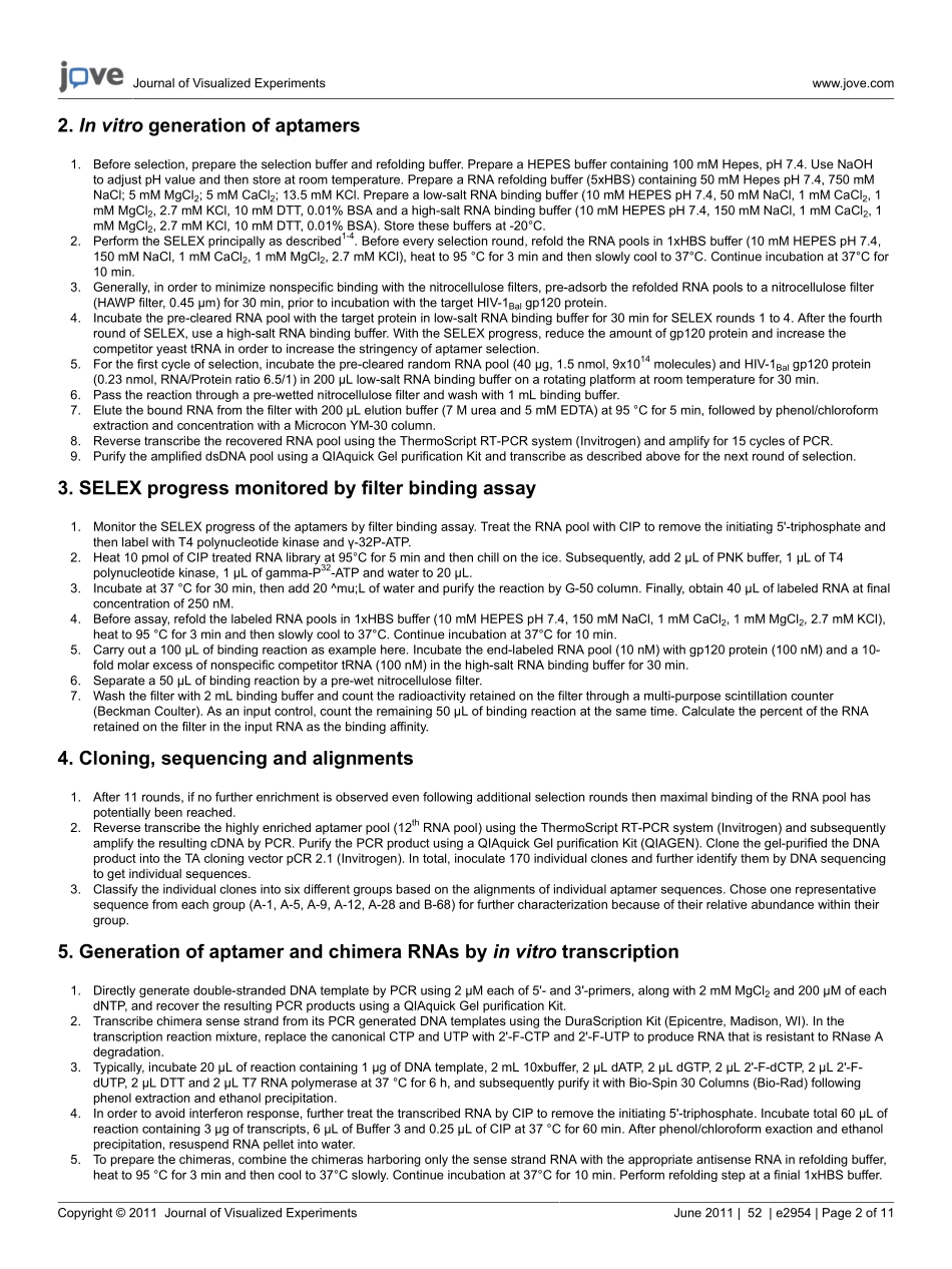 jove-protocol-2954i.pdf_第2页