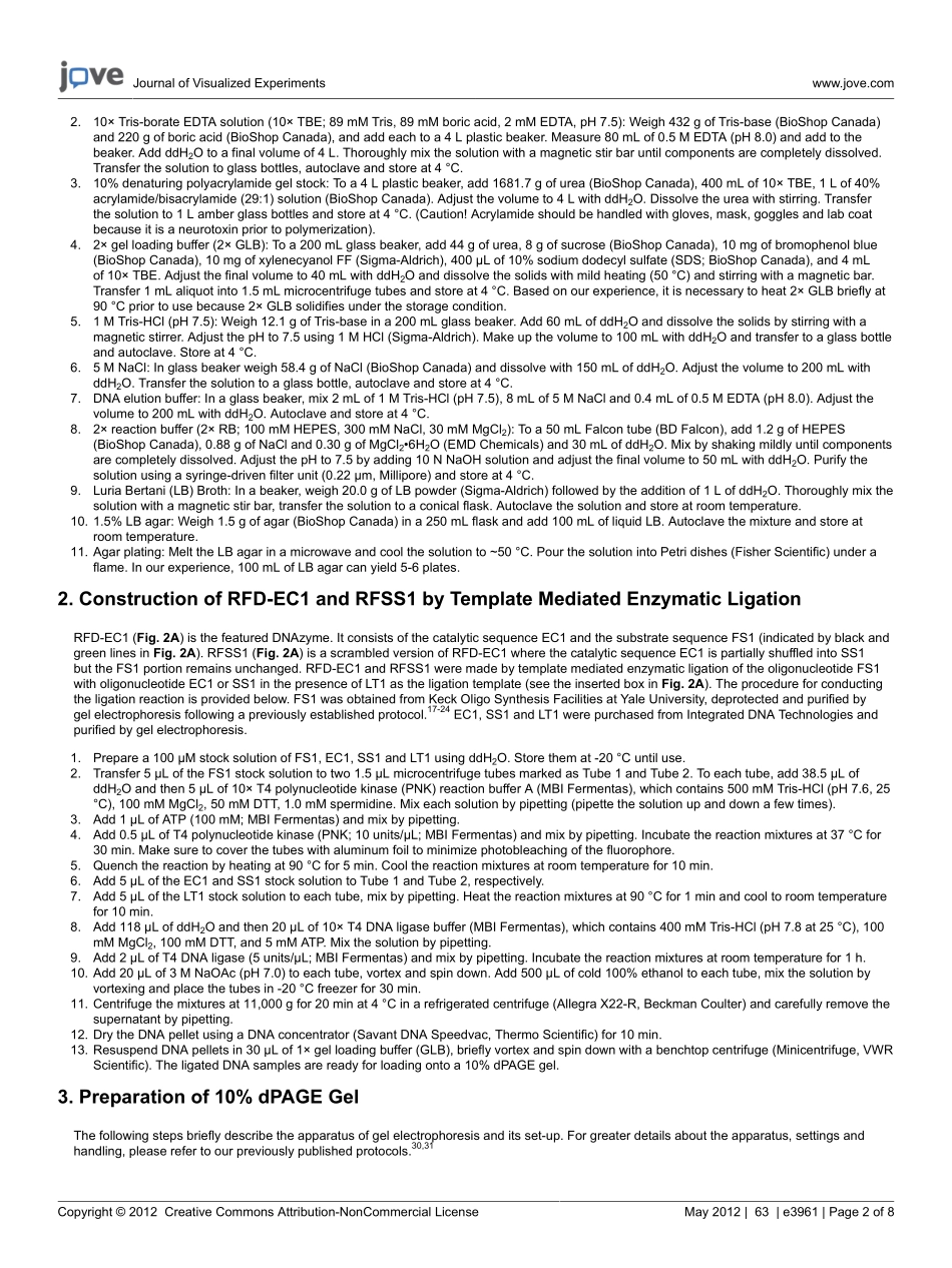 jove-protocol-3961-detection-of-bacteria-using-(1).pdf_第2页