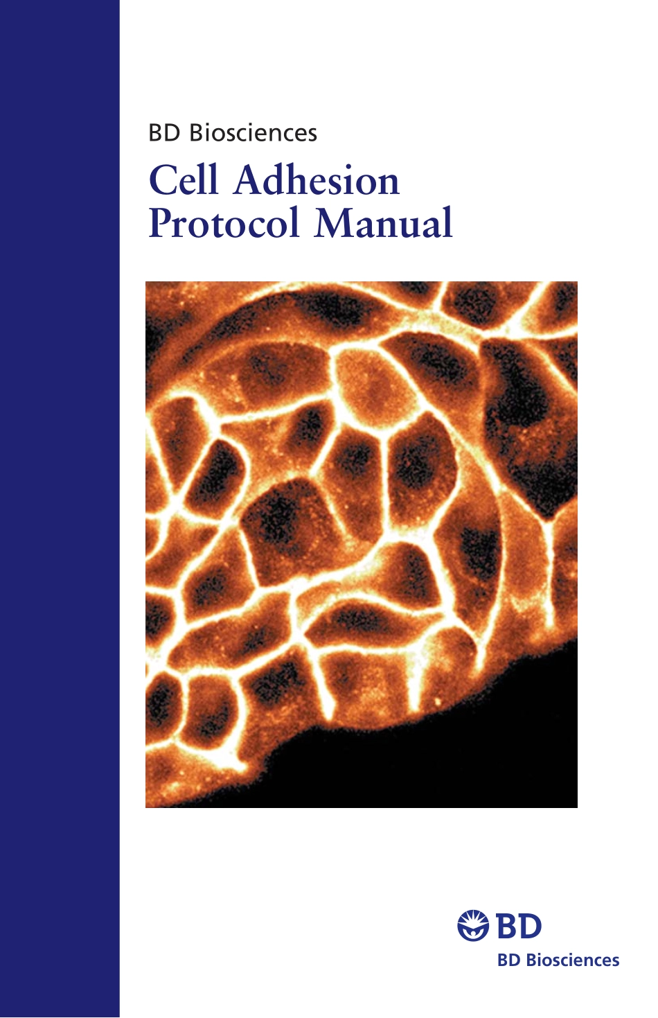 Cell_Adhesion_protocol_manual[1].pdf_第1页