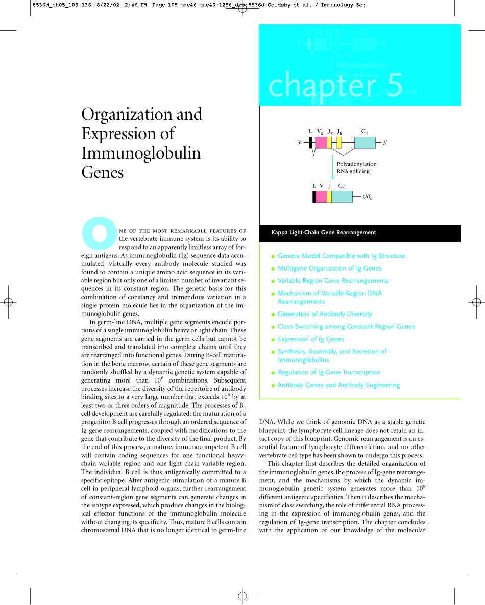 Chapter+05(1).pdf_第1页