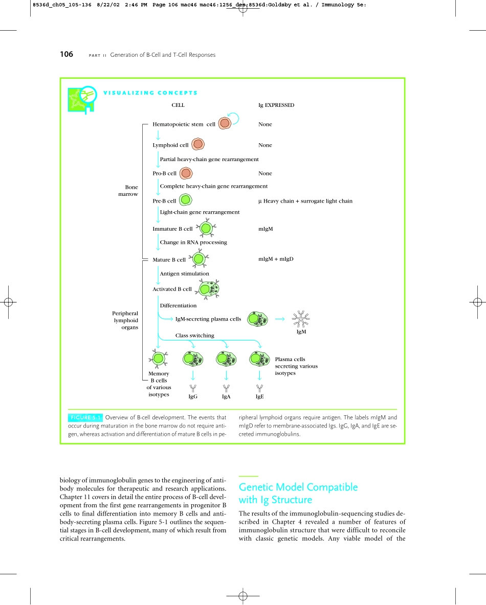 Chapter+05(1).pdf_第2页