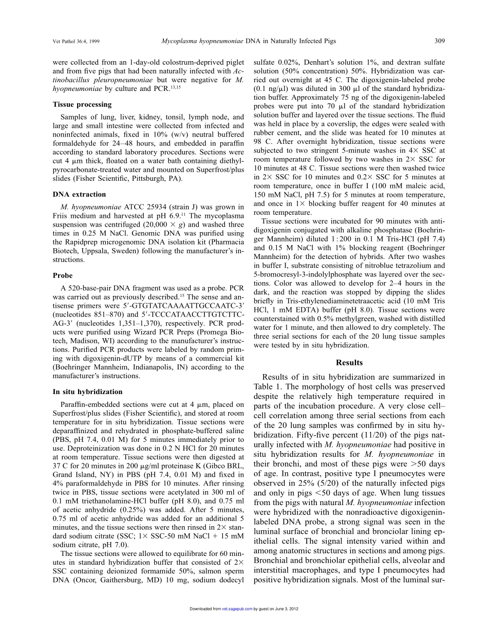 Detection and Localization of DNAby ISH Using a Digoxigenin-labeled Probe(1).pdf_第2页