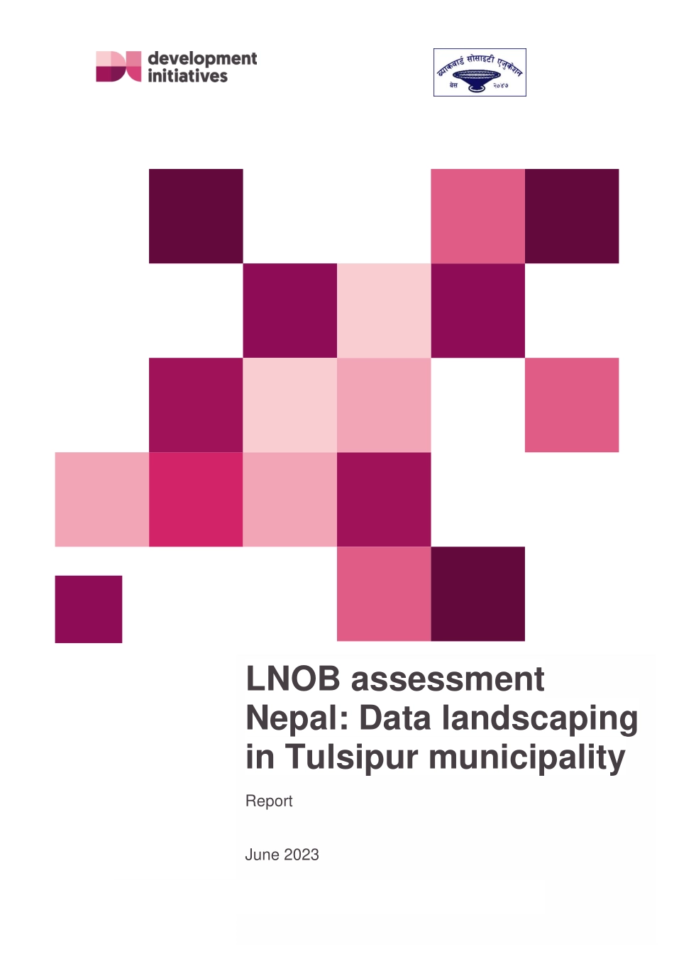 Devinit-尼泊尔LNOB评估：Tulsipur市的景观数据（英）-2023-WN6.pdf_第1页