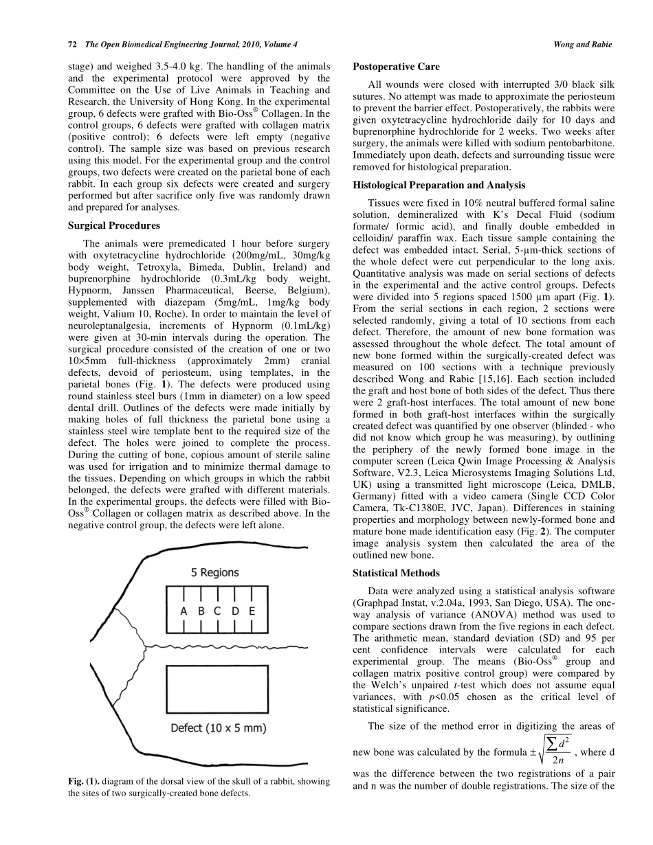 Effect of Bio-Oss® Collagen and Collagen Matrix on Bone Formation.pdf_第2页