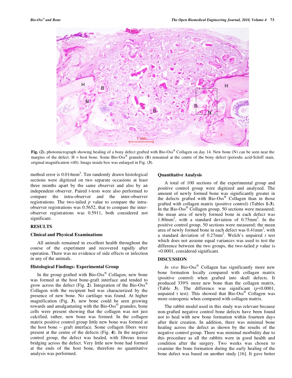 Effect of Bio-Oss® Collagen and Collagen Matrix on Bone Formation.pdf_第3页