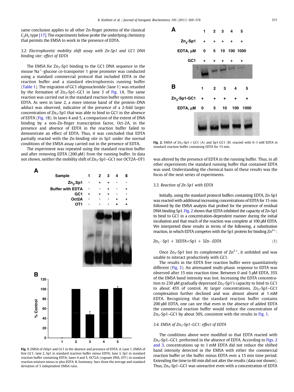 EMSA of zinc finger proteins(1).pdf_第3页