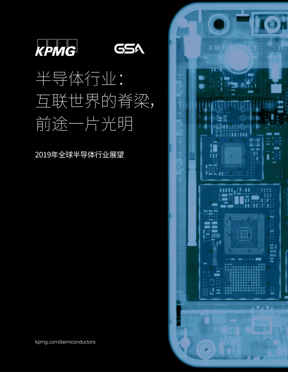 global-semiconductor-industry-prospect-2019.pdf_第1页
