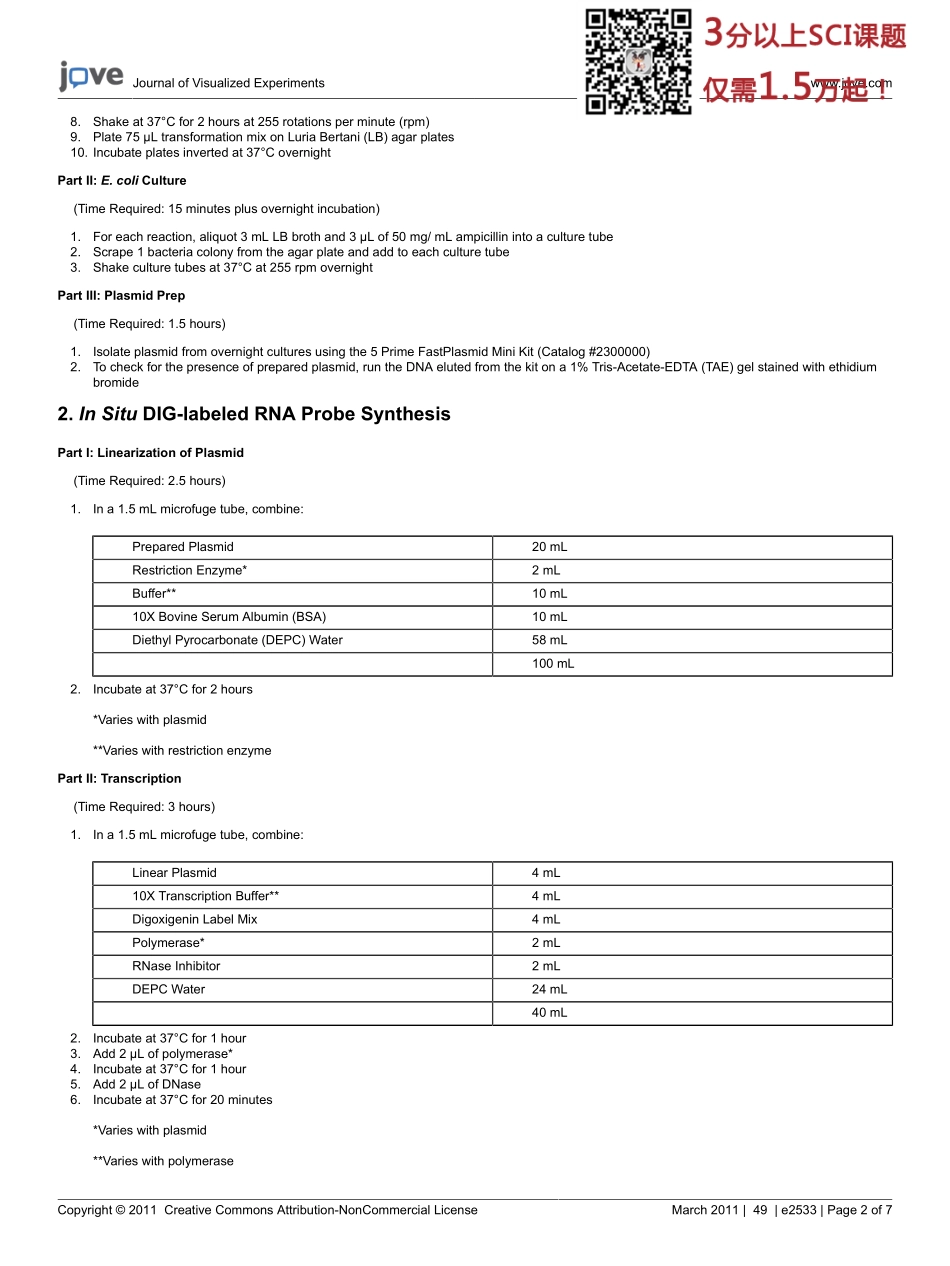 jove-protocol-2533(2).pdf_第2页