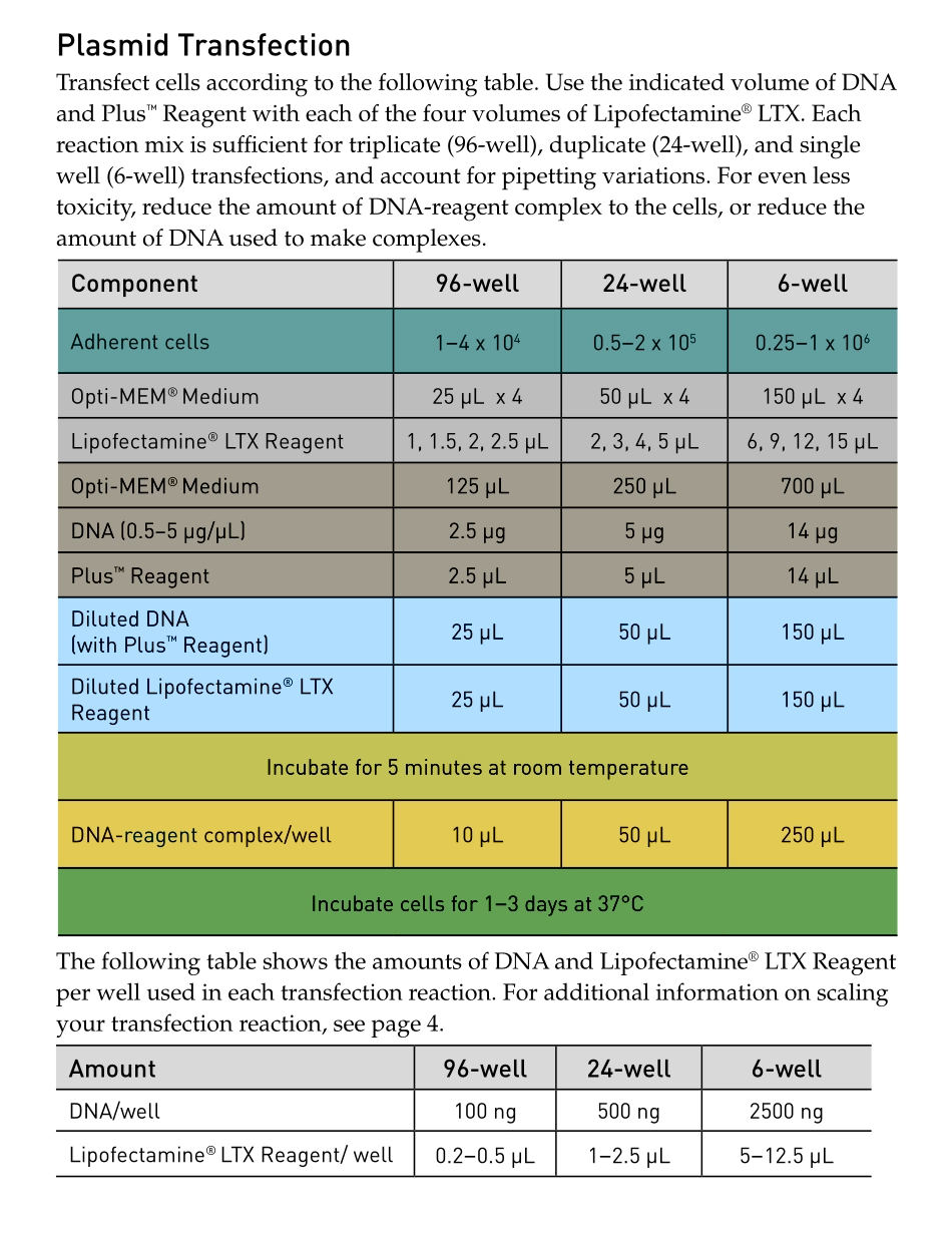 lipofectamineLTX_and_PLUS_man-NEW.pdf_第3页