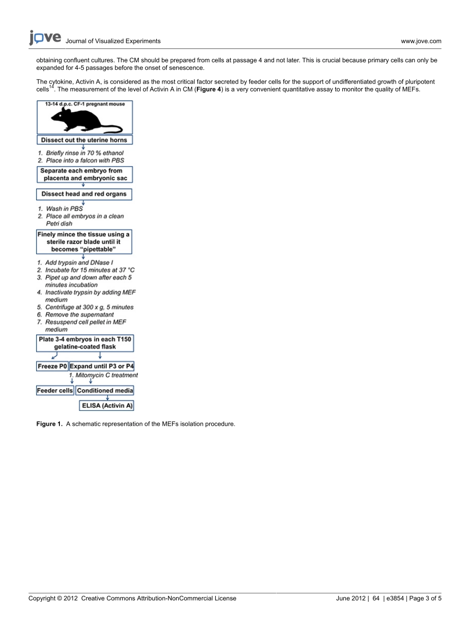 protocol-3854.pdf_第3页