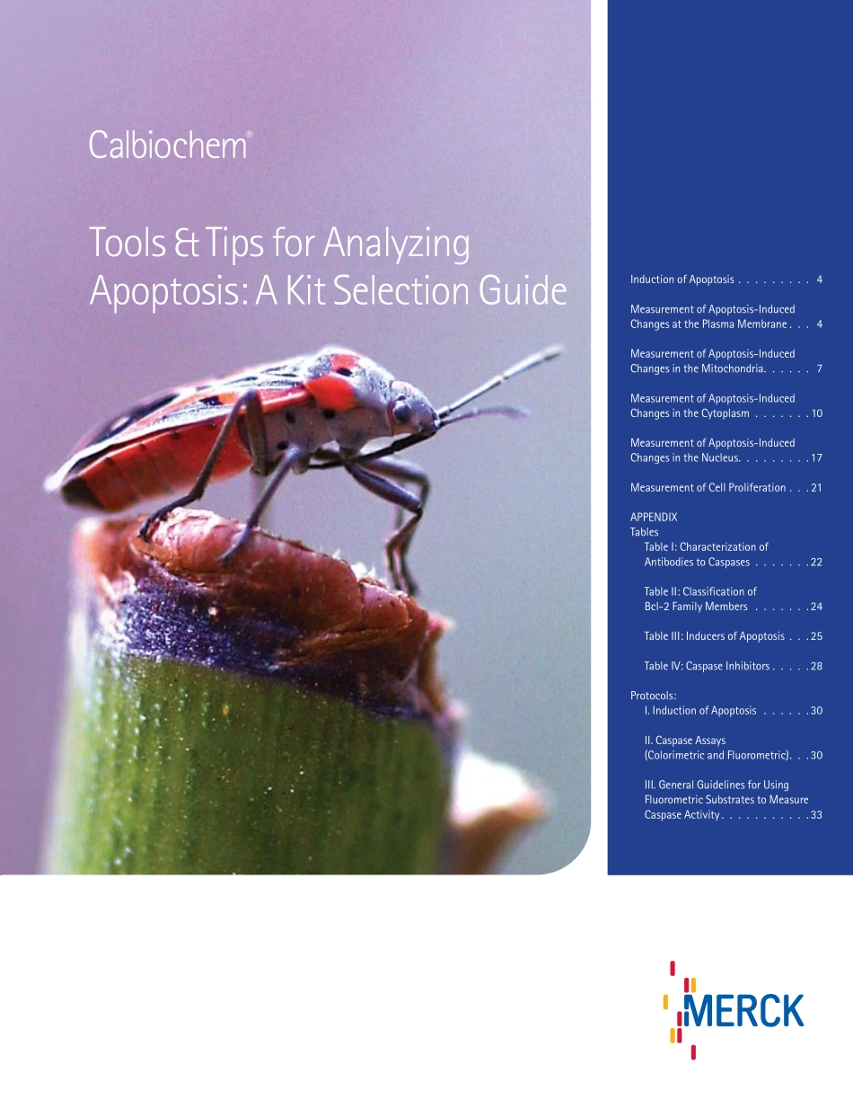 apoptosis_CB0729_M.pdf_第1页