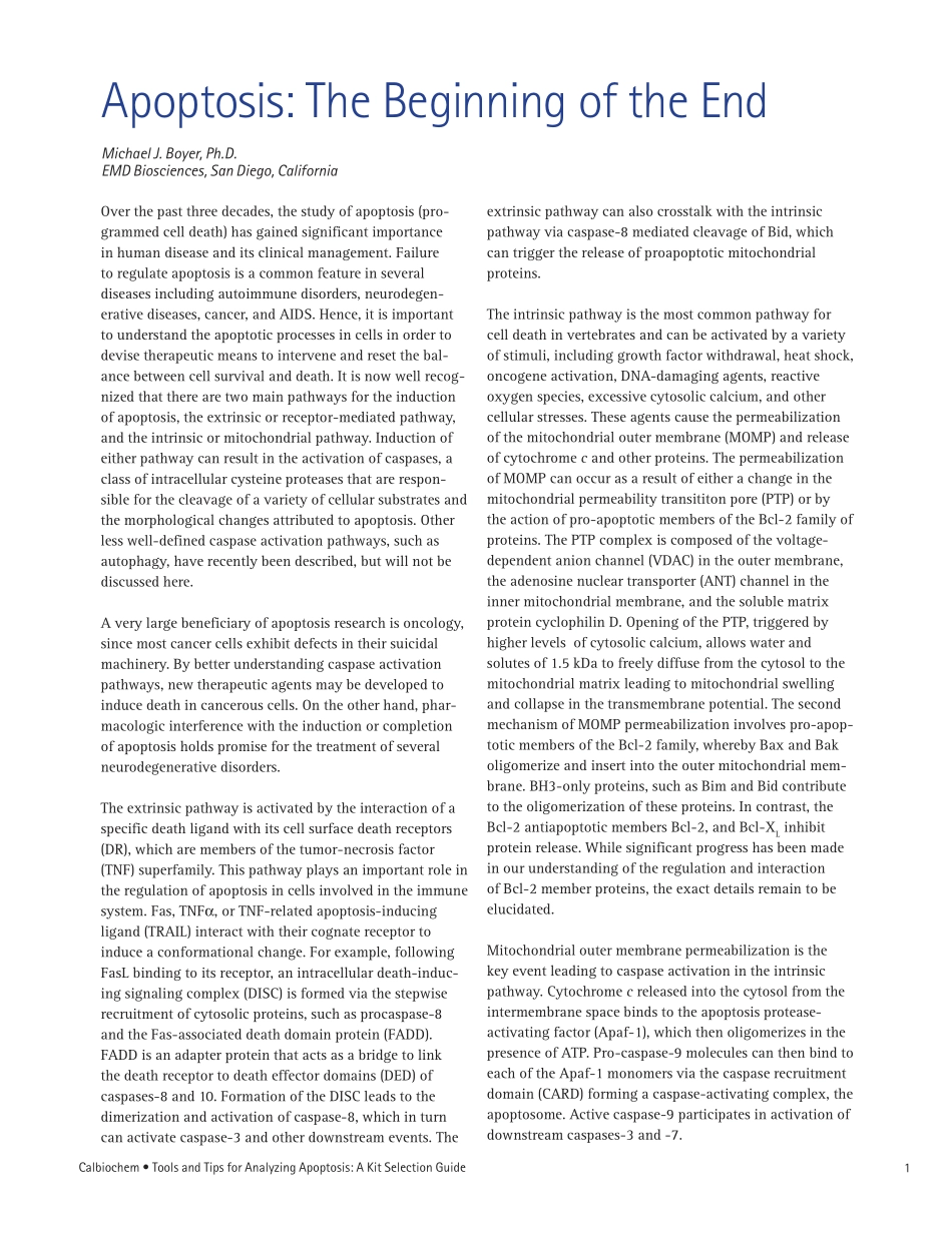 apoptosis_CB0729_M.pdf_第3页