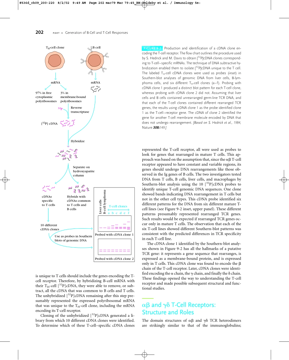 Chapter+09(1).pdf_第3页