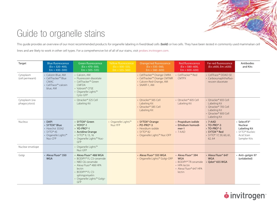 F-071530 Stain Guide_LRF[1].pdf_第1页
