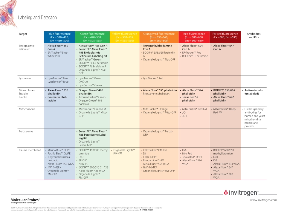 F-071530 Stain Guide_LRF[1].pdf_第2页