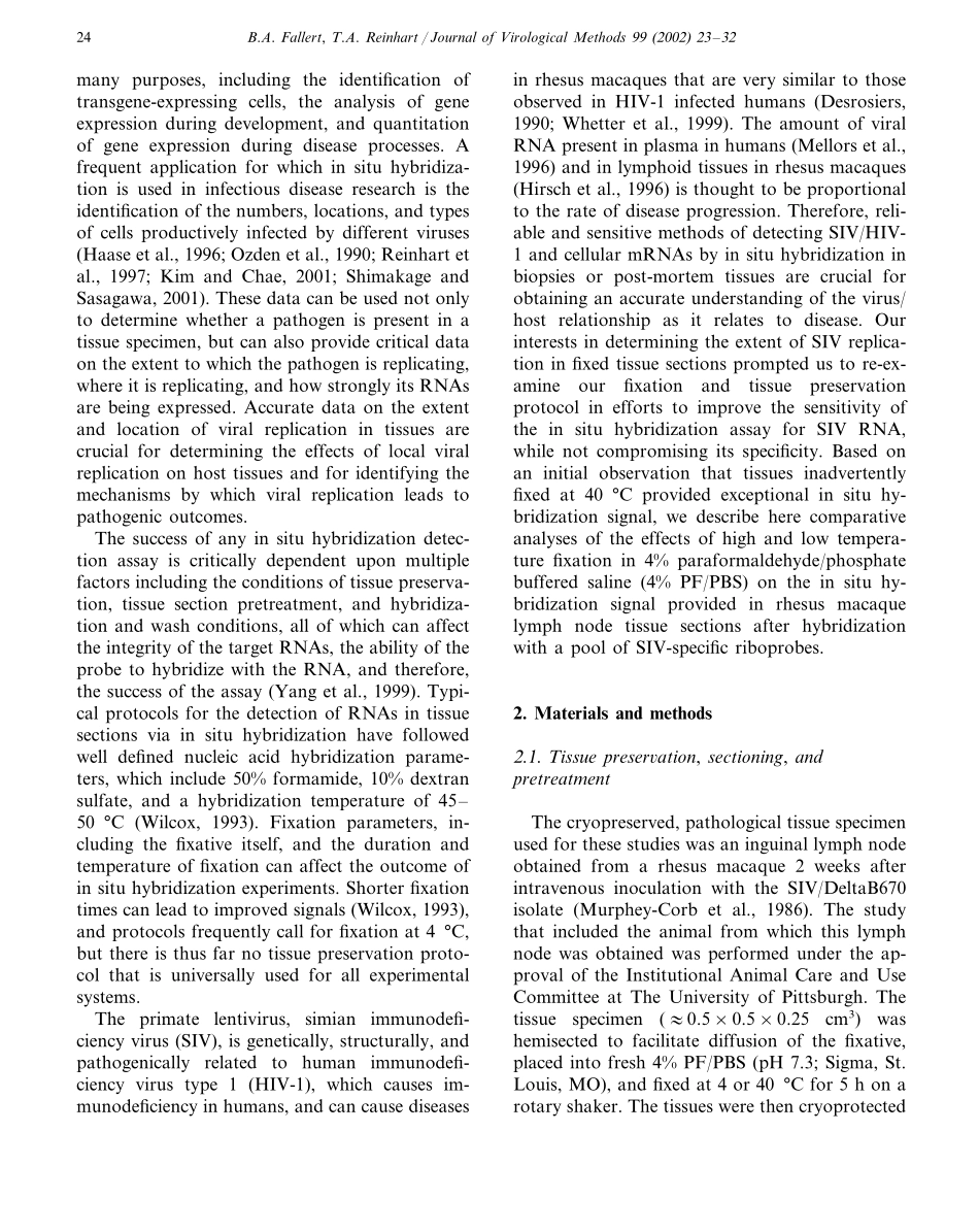 Improved detection by ISH in fixed tissue sections(1).pdf_第2页