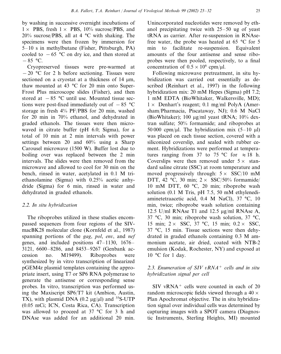 Improved detection by ISH in fixed tissue sections(1).pdf_第3页