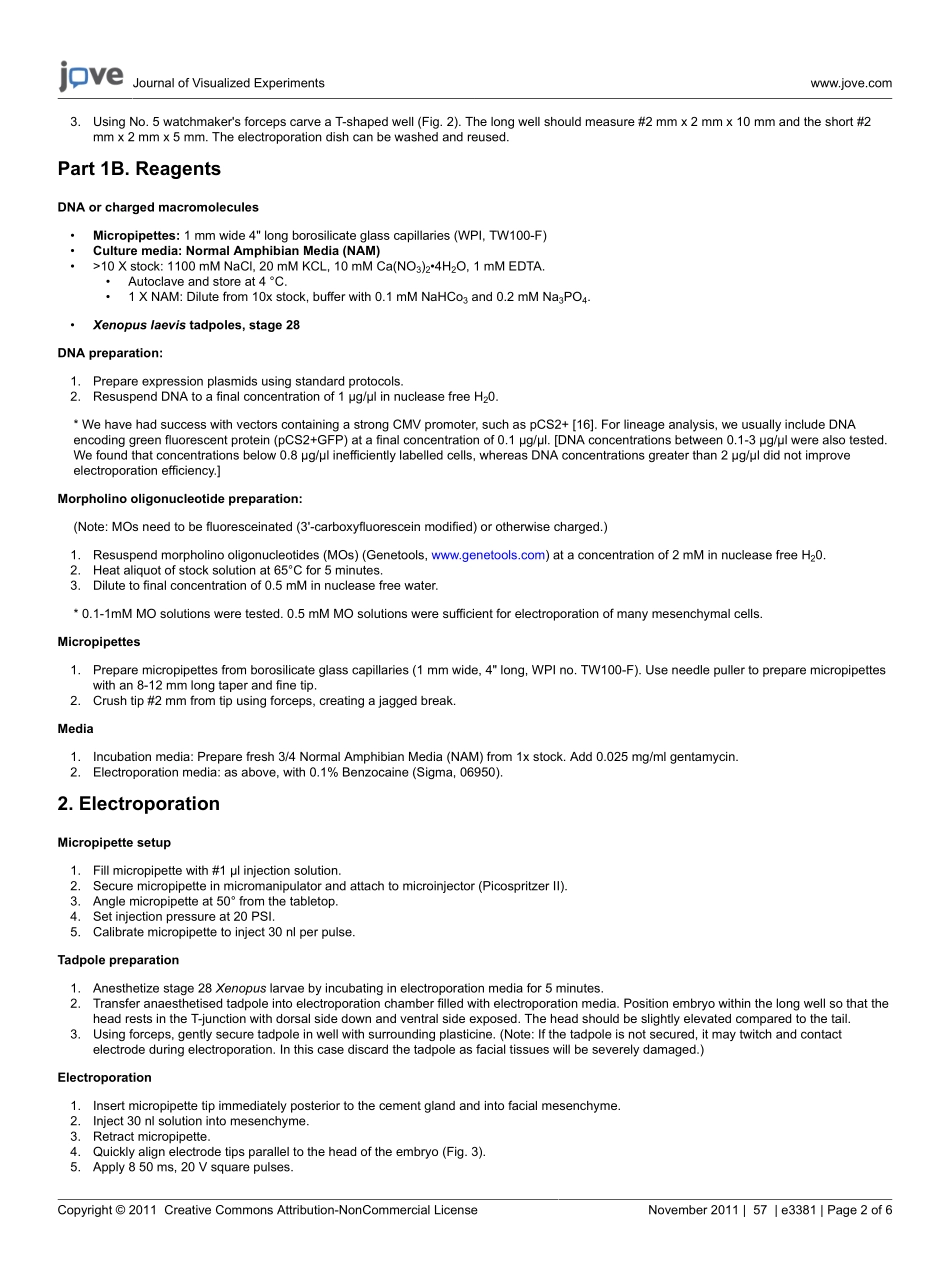 jove- (1)(1).pdf_第2页