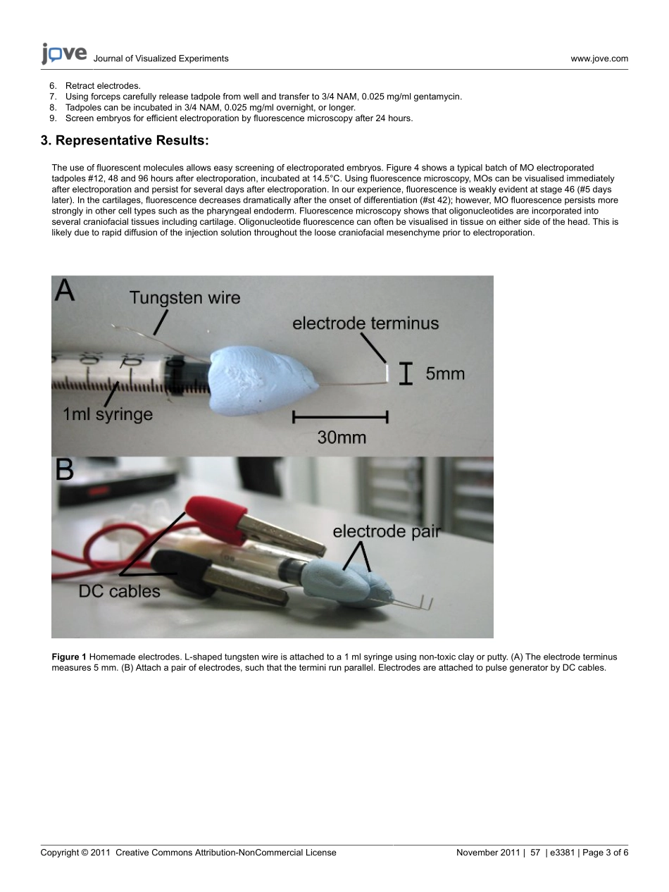 jove- (1)(1).pdf_第3页