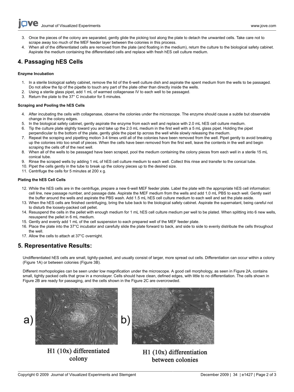 jove-protocol-1427-culture-and-maintenanc.pdf_第2页