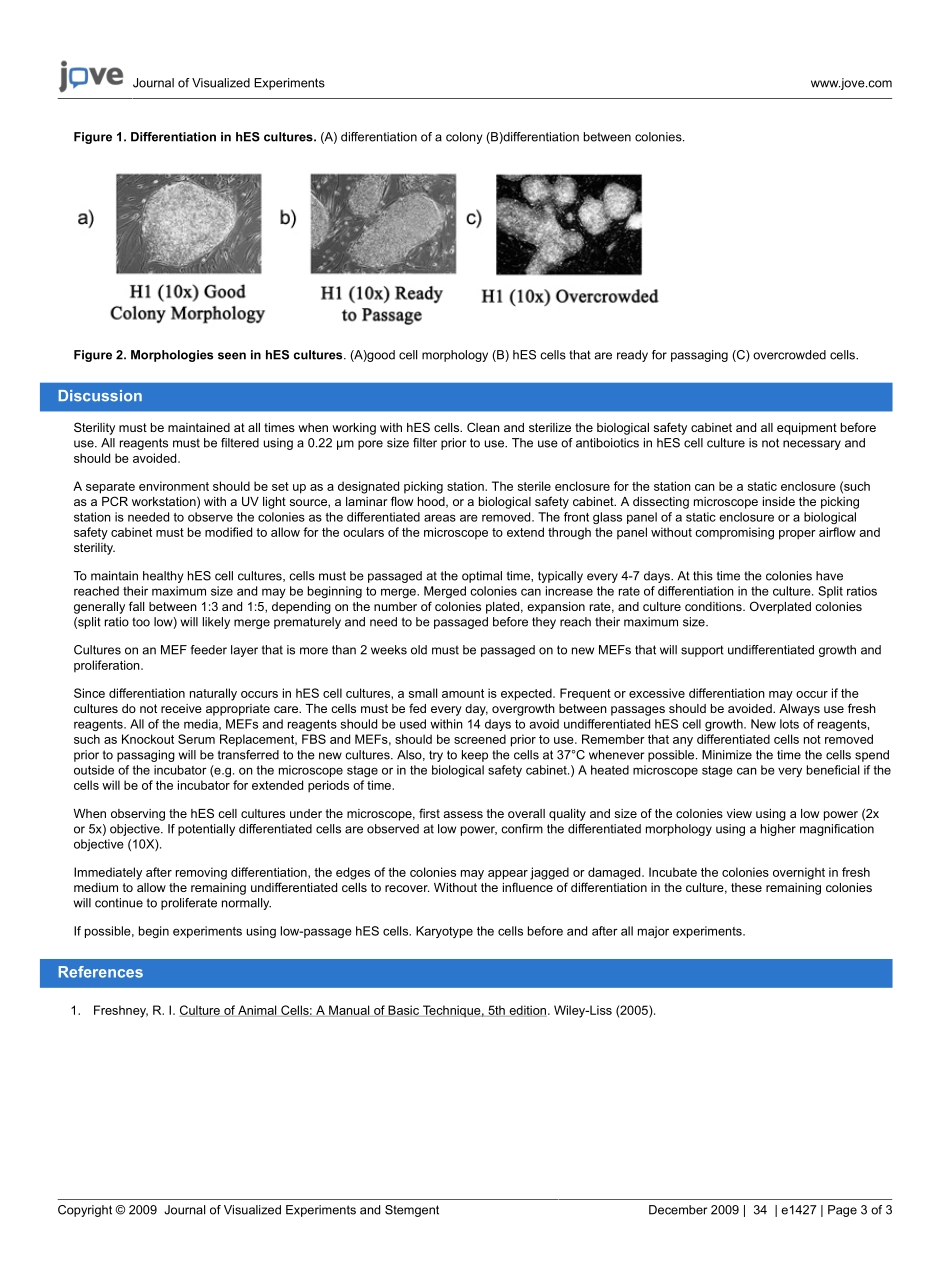 jove-protocol-1427-culture-and-maintenanc.pdf_第3页