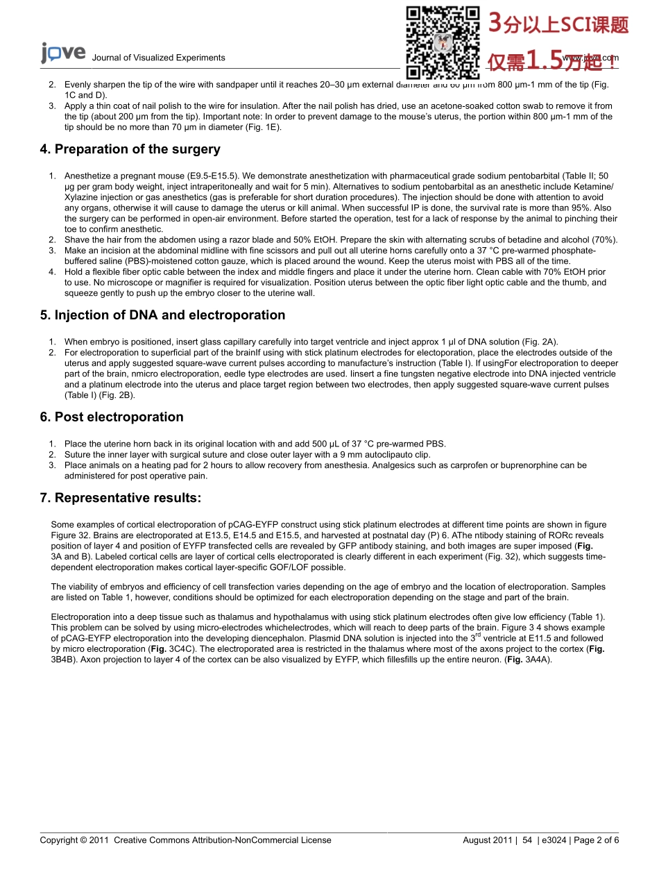 jove-protocol-3024(1).pdf_第2页