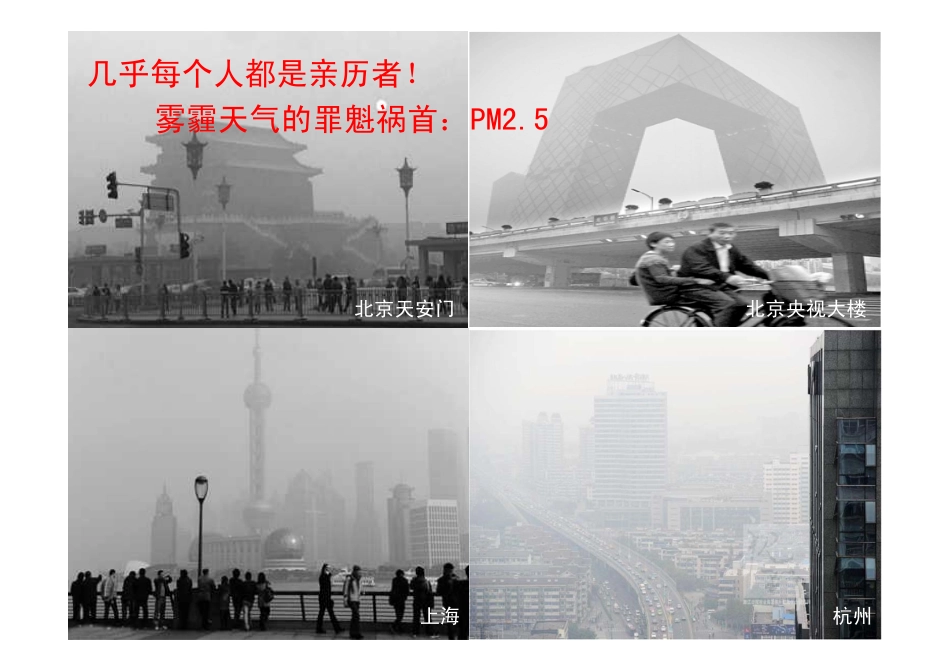 PM2.5污染控制对策与技术.pdf_第2页