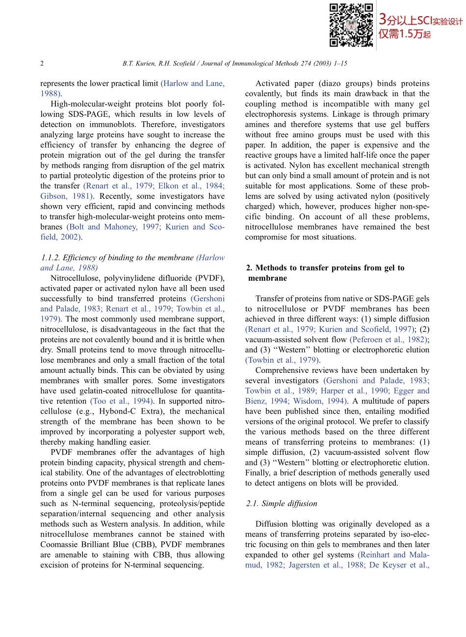 Protein blotting a review(2).pdf_第2页