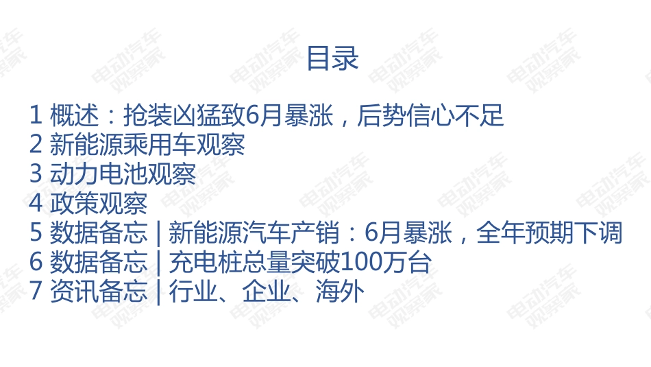 2019年上半年中国新能源汽车产业观察-2019.7-120页.pdf_第3页
