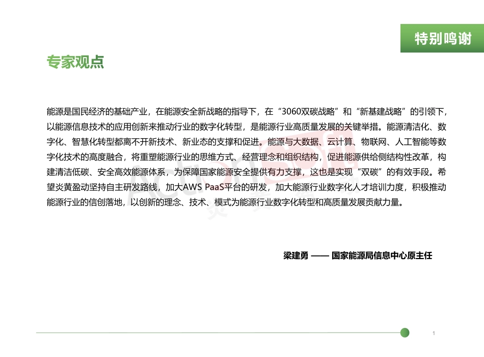 2023低代码PaaS加速能源行业数字化转型白皮书-65页-WN6.pdf_第3页