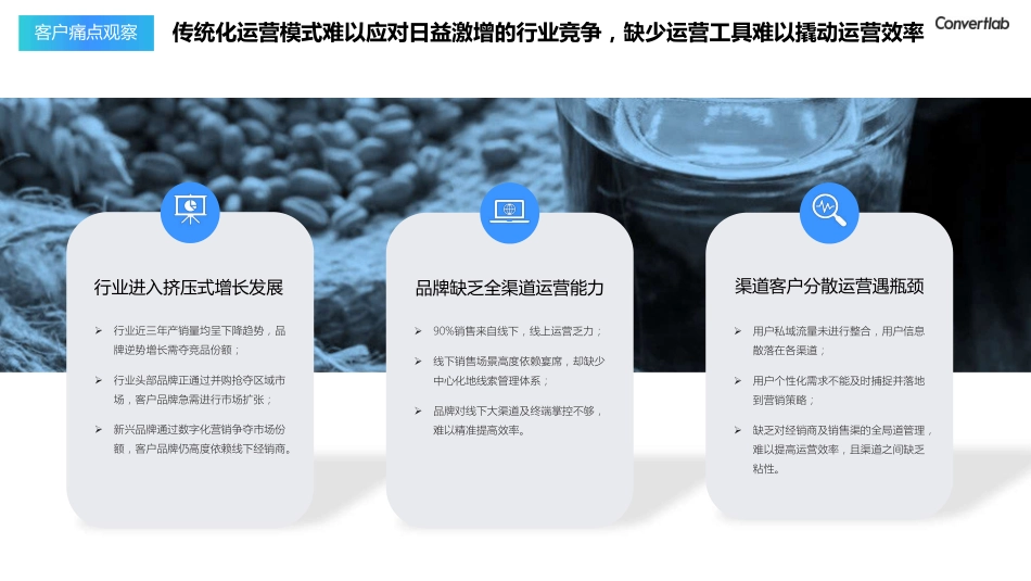 Convertlab-零售行业客户体验持续运营说明书：知名酒水品牌用户运营案例解析及Convertlab AI探索-2023.08-35页-WN9.pdf_第3页