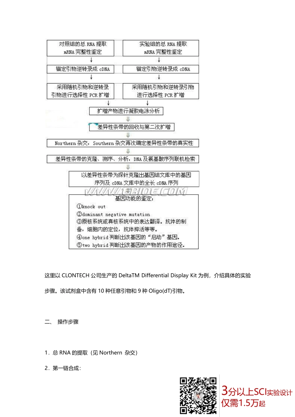 ddRT-PCR%28差示反转录PCR%29.pdf_第2页