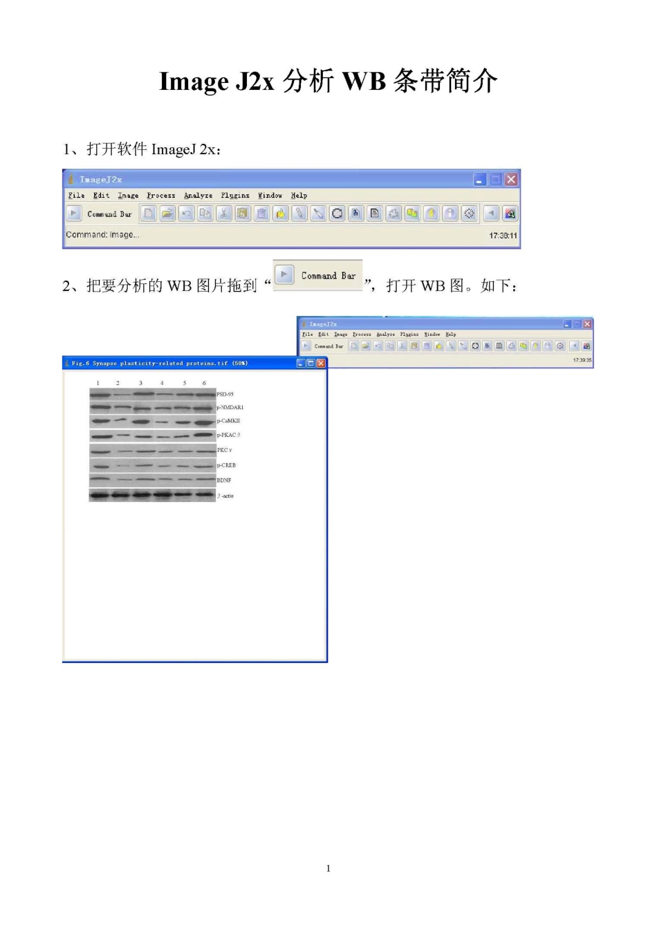 Image_J2x----WB-------20130222.pdf_第1页