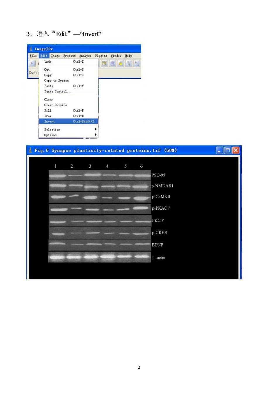 Image_J2x----WB-------20130222.pdf_第2页