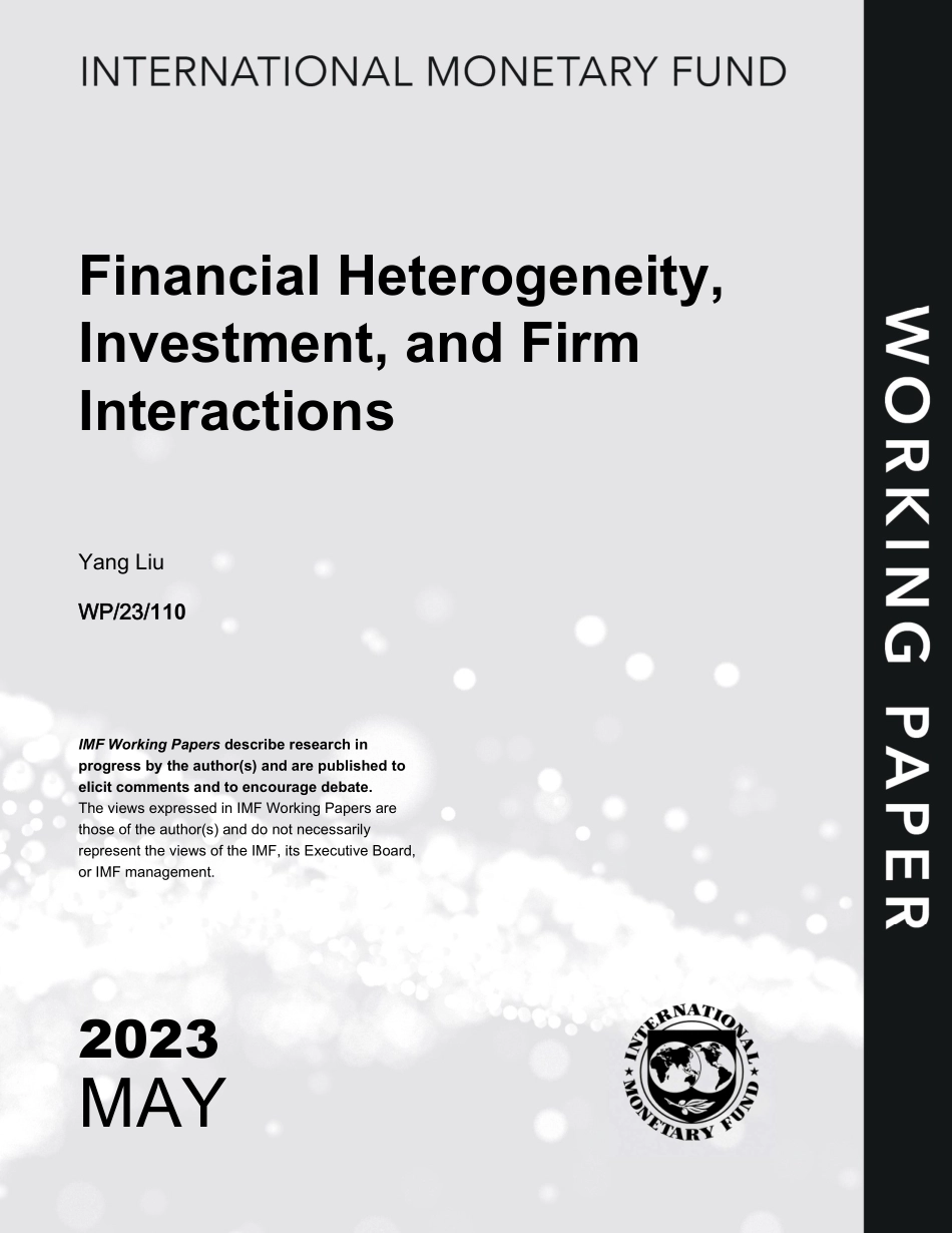 IMF-金融异质性、投资与企业互动（英）-2023-WN6.pdf_第1页