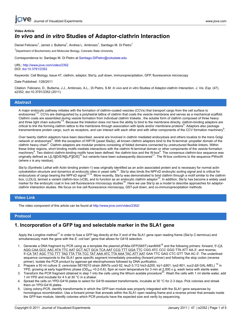 jove-protocol-2352-in-vivo-and-in-vitro-studie.pdf_第1页
