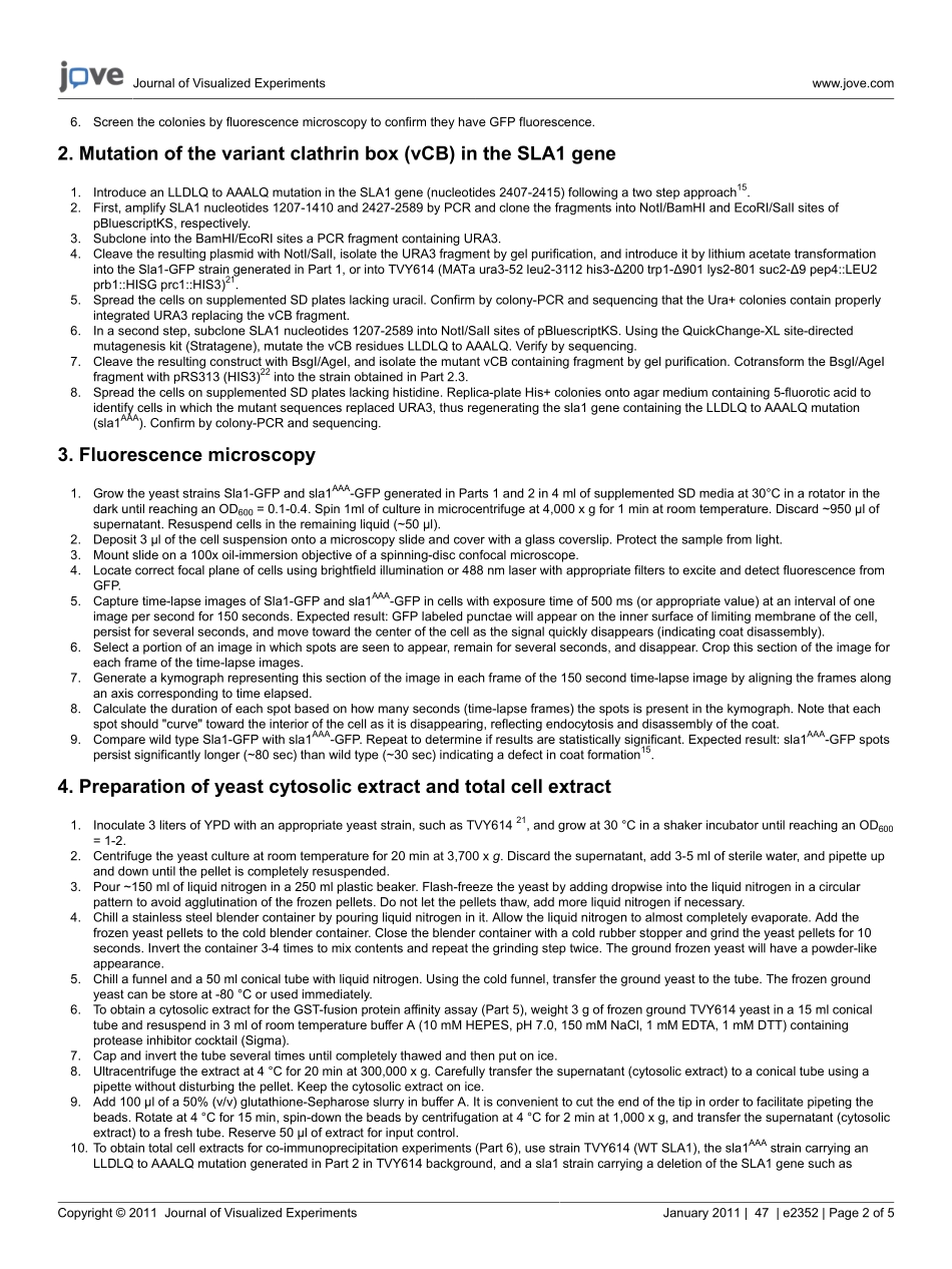 jove-protocol-2352-in-vivo-and-in-vitro-studie.pdf_第2页