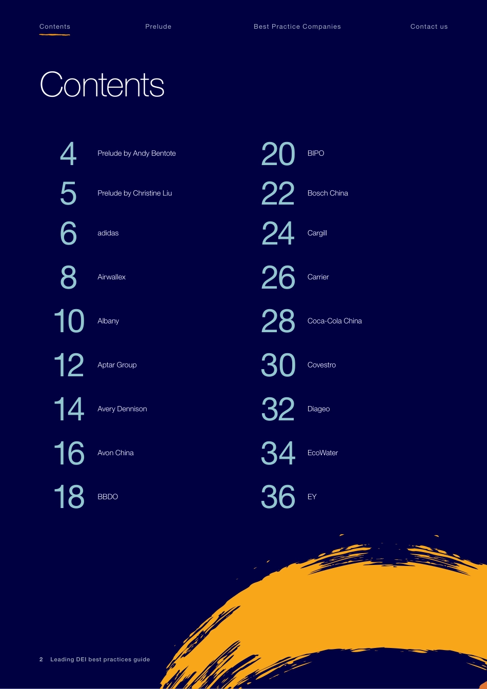 Leading DEI中国最佳实践指南-69页-WN6.pdf_第3页