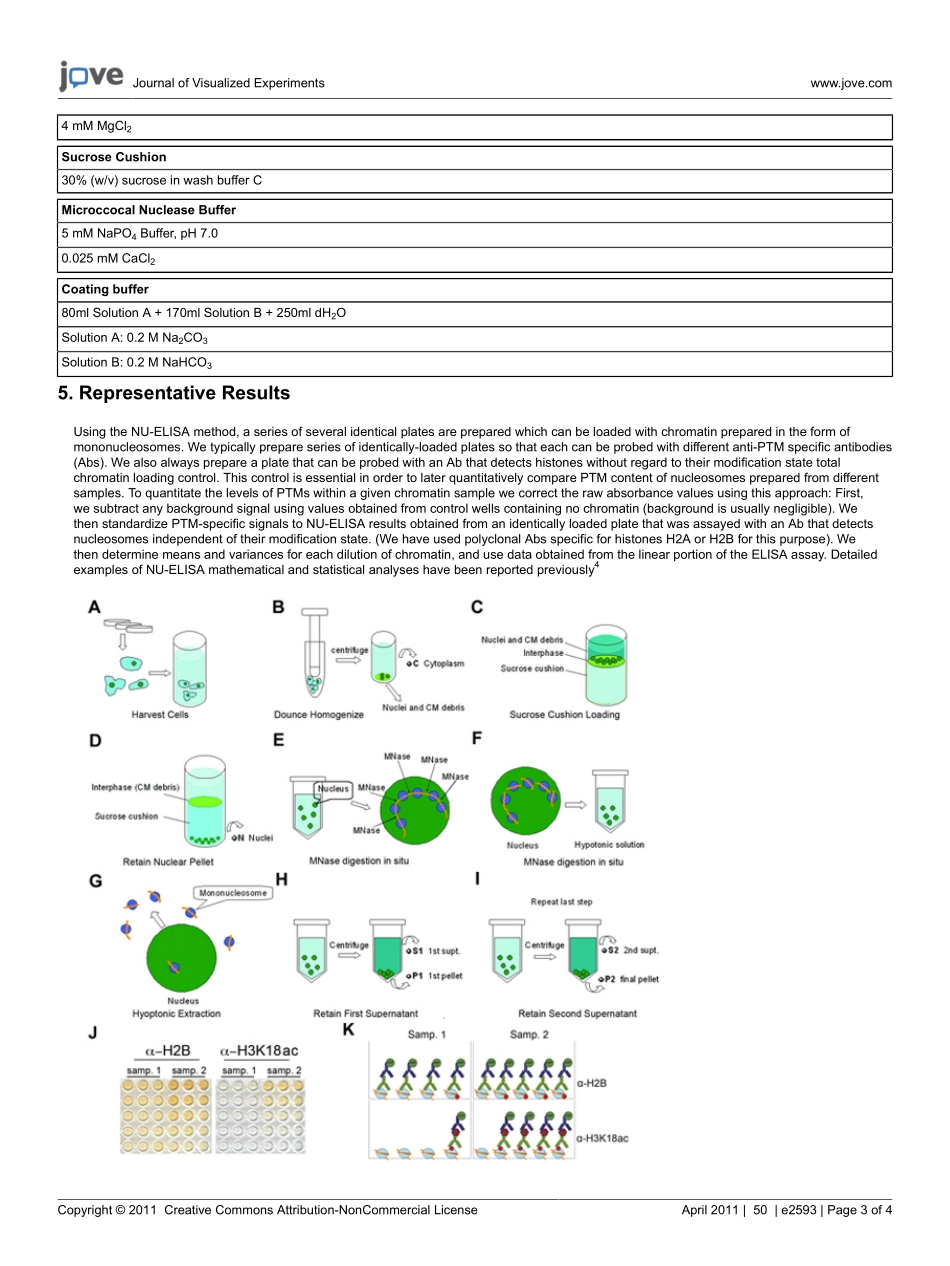 protocol-2593-t.pdf_第3页