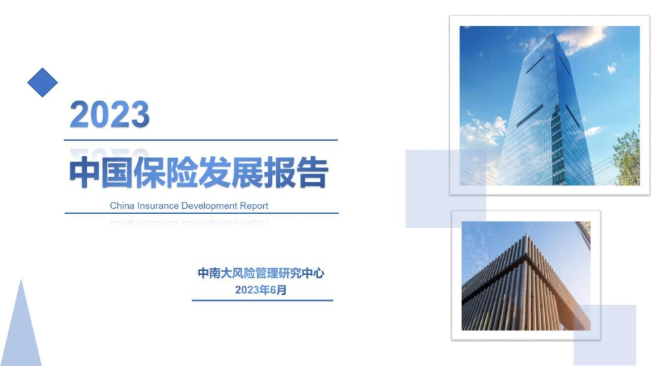 2023中国保险发展报告-中南大风险管理研究中心-2023-WN6.pdf_第1页