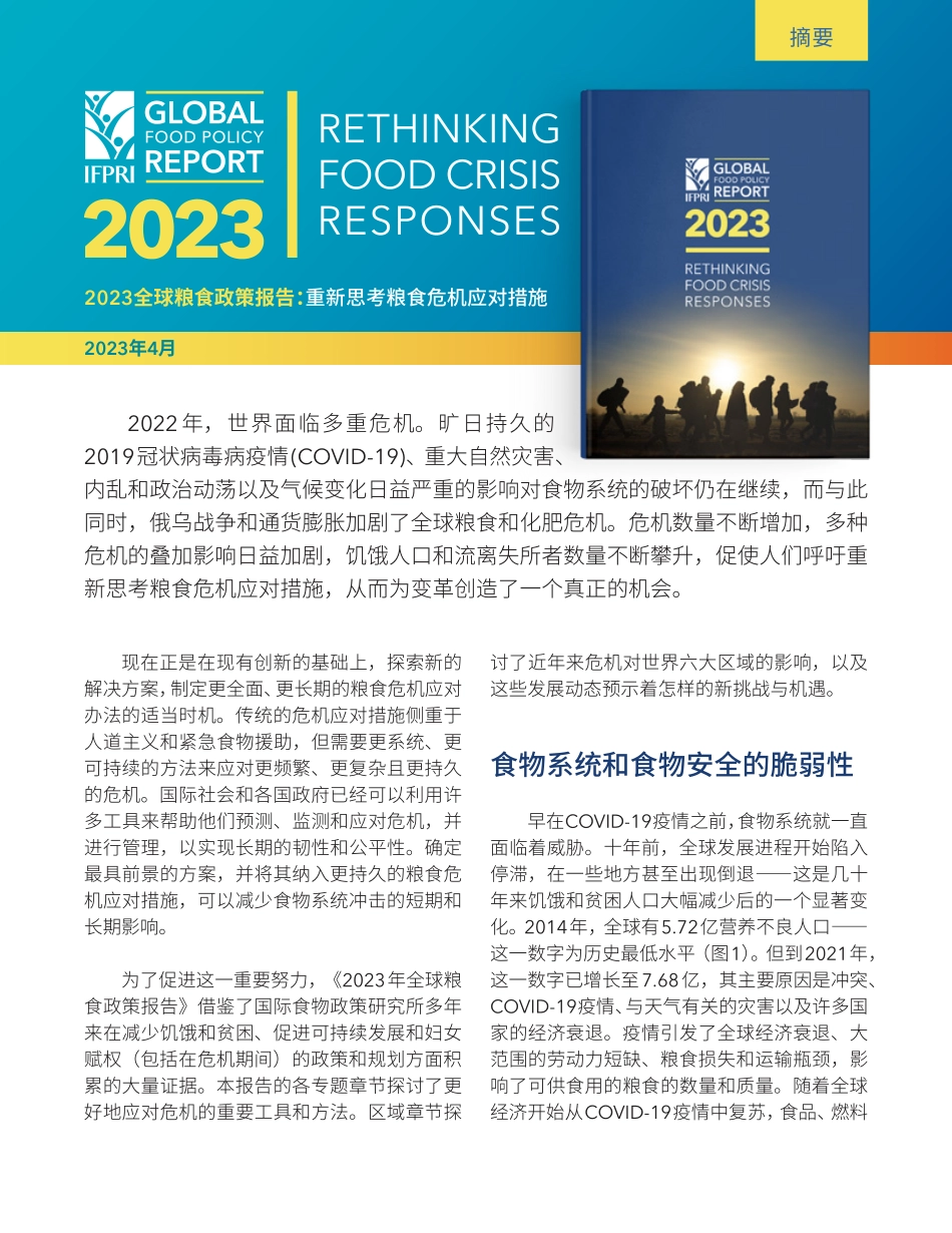 2023全球粮食政策报告重新思考粮食危机应对措施-12页-WN5.pdf_第1页