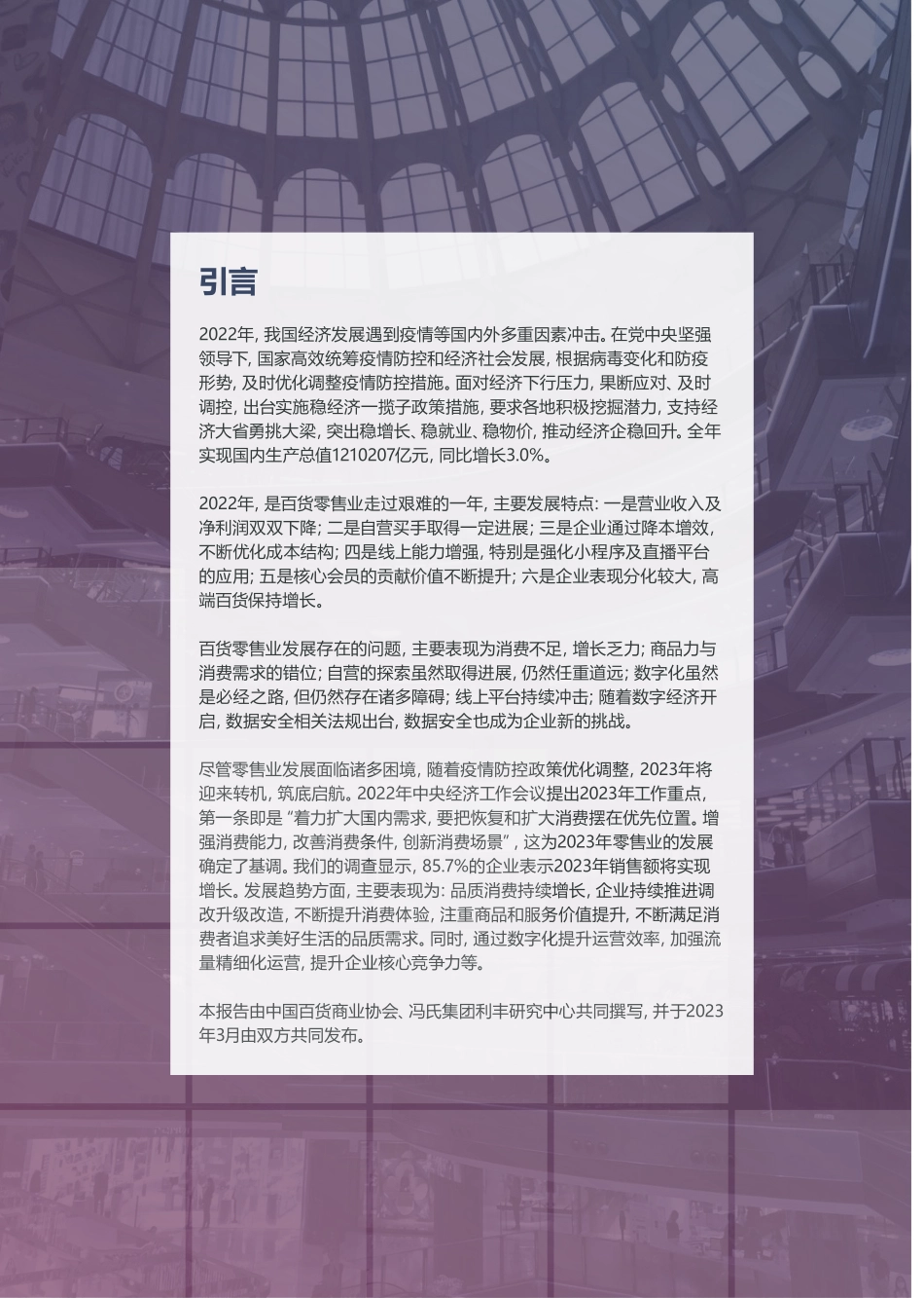 2022-2023年中国百货零售业发展报告-2023.04-40页-WN5.pdf_第3页
