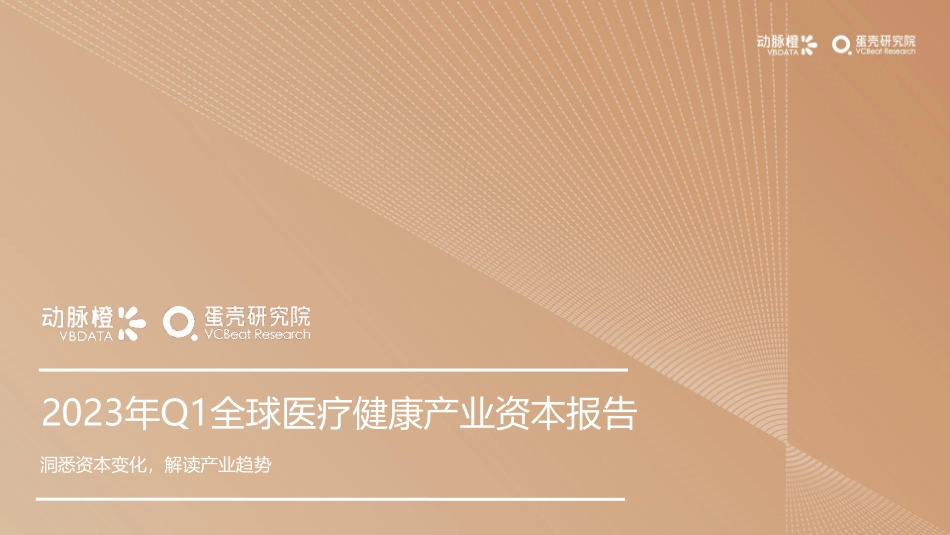 2023年Q1全球医疗健康产业资本报告-2023.04-30页-WN5.pdf_第1页